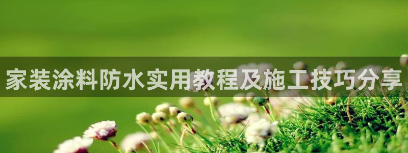 和记国际客服：家装涂料防水实用教程及施工技巧分享