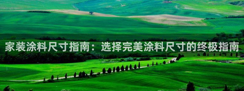 官方和记国际平台登录：家装涂料尺寸指南：选择完美涂料尺寸的终极指南
