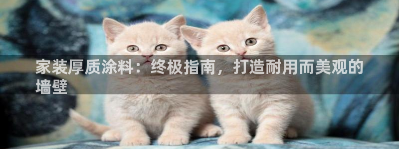 和记官方直营：家装厚质涂料：终极指南，打造耐用而美观的
墙壁