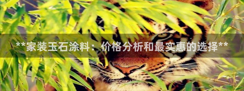 和记官方：**家装玉石涂料：价格分析和最实惠的选择**