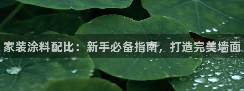 和记网页版：家装涂料配比：新手必备指南，打造完美墙面