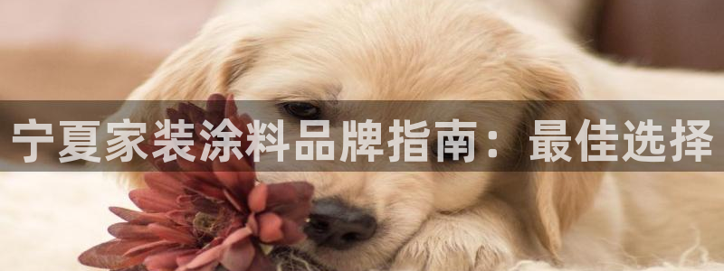 和记官网官方网站：宁夏家装涂料品牌指南：最佳选择