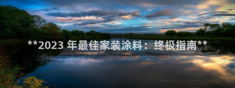 和记官网[中国]官方网站：**2023 年最佳家装涂料：终极指南**