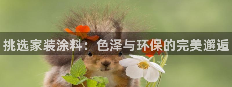 和记 中国首页：挑选家装涂料：色泽与环保的完美邂逅