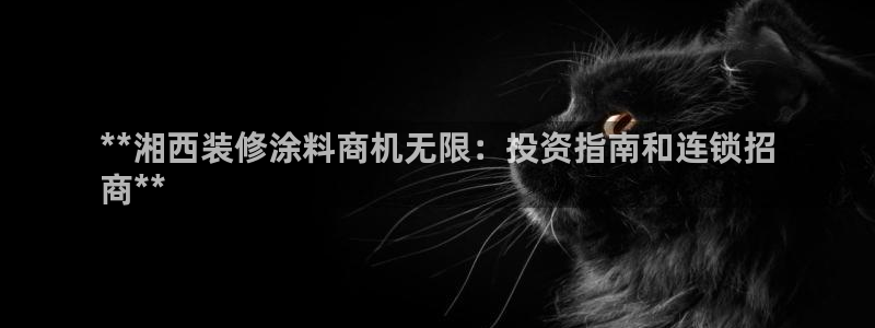 和记ag网页版：**湘西装修涂料商机无限：投资指南和连锁招
