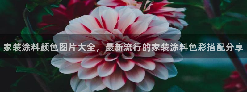 和记h8：家装涂料颜色图片大全，最新流行的家装涂料色彩搭配分享