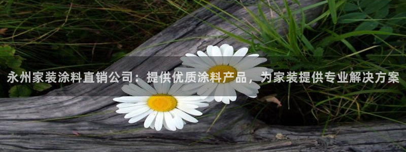 和记ag旗舰厅app：永州家装涂料直销公司：提供优质涂料产品