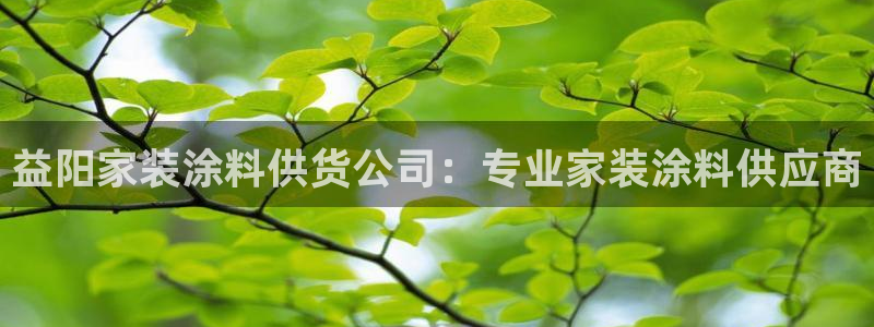 和记国际客服：益阳家装涂料供货公司：专业家装涂料供应商