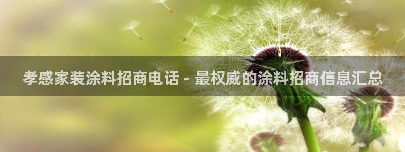 和记h8：孝感家装涂料招商电话 - 最权威的涂料招商信息汇总