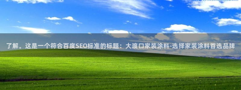 和记平台官网：了解。这是一个符合百度SEO标准的标题：大渡口