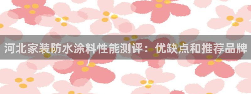 和记官网登陆：河北家装防水涂料性能测评：优缺点和推荐品牌