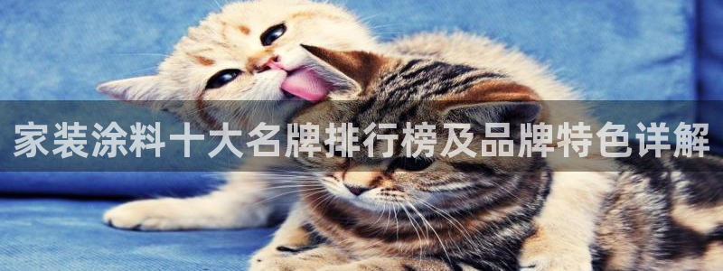官方和记国际平台登录：家装涂料十大名牌排行榜及品牌特色详解