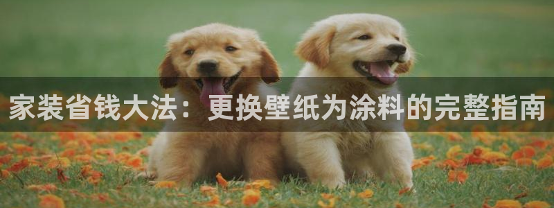 和记h188：家装省钱大法：更换壁纸为涂料的完整指南
