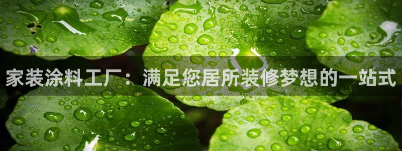 和记ag旗舰厅app：家装涂料工厂：满足您居所装修梦想的一站式
