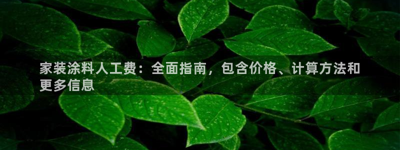 和记平台官网：家装涂料人工费：全面指南，包含价格、计算方法和
更多信息