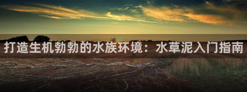 和记官网 公司